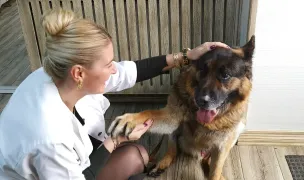 CliniKVet — Clinici Veterinare, Piatra Neamț