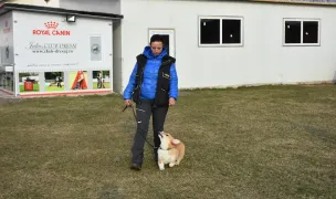 CLUB DRESAJ Julius — Animal Training, Domnesti, Ilfov