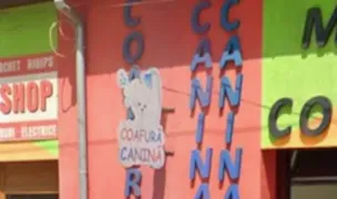 Coafură canină — Salon Câini & Pisici, Municipiul Arad, Arad