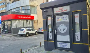 Cool Pet Shop Curcubeul — Pet Shop, Municipiul Suceava, Suceava