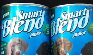 Cool Pet Shop Miorlaila — Pet Shop, Municipiul Suceava, Suceava