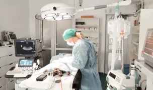 Crystal Pet — Farmacii Veterinare, Sectorul 2, București