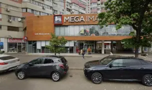 Curs coafor canin — Salon Câini & Pisici, Sectorul 1, București
