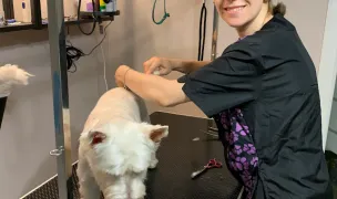 Cuțu la Spa — Salon Câini & Pisici, Cluj-Napoca, Cluj