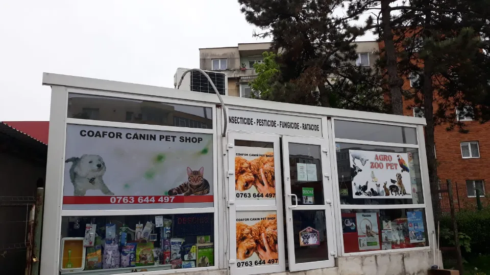 Frizerie Canina Pitesti, Salon Cosmetica Canina,Felina. Tuns Caini Pitesti — fotografie de copertă