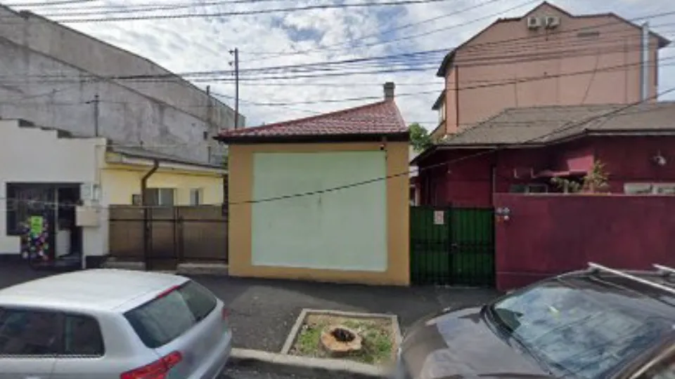 Dog SPA by Ivy — fotografie de copertă