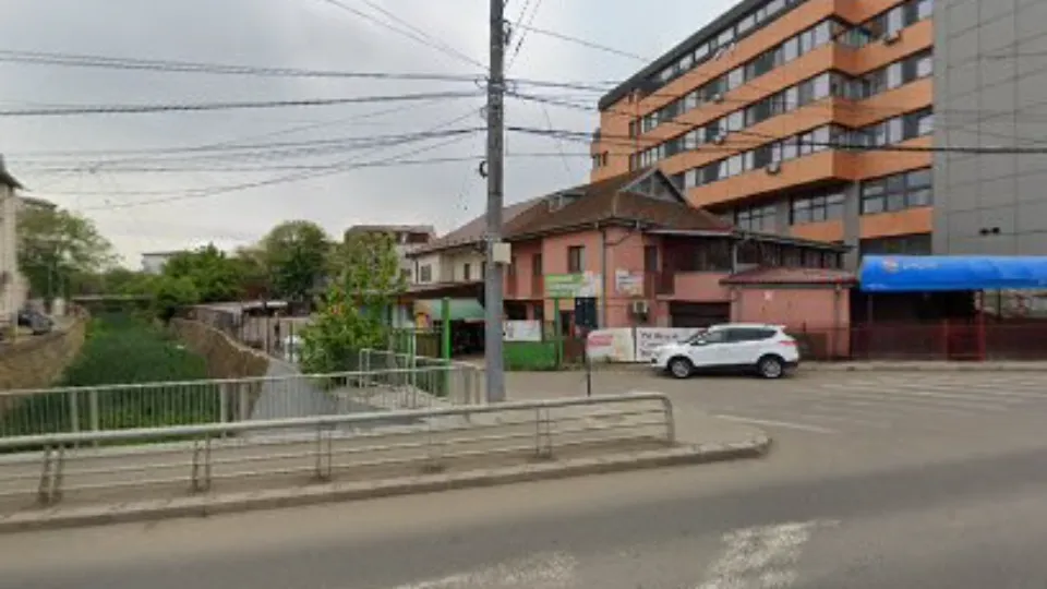 Farmacia Veterinară Firavet Iași — fotografie de copertă