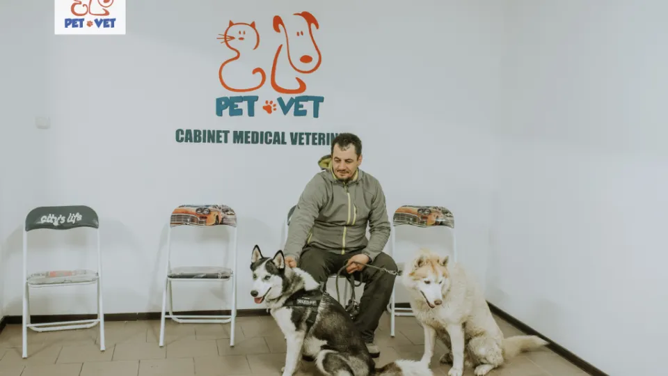 Veterinary clinic PetVet Oradea — fotografie de copertă