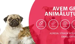 Daily Vet — Farmacii Veterinare, Municipiul Iași, Iași