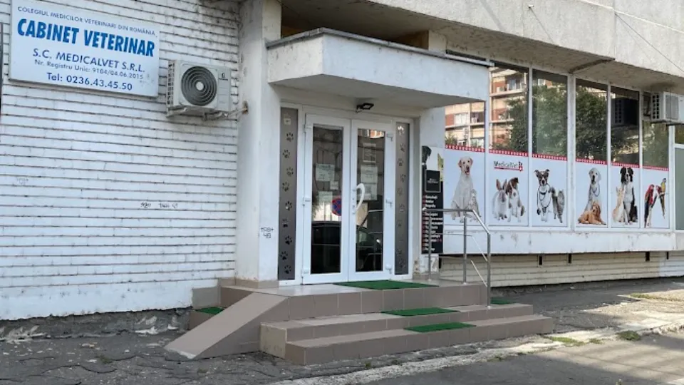 MedicalVet Mazepa — fotografie de copertă