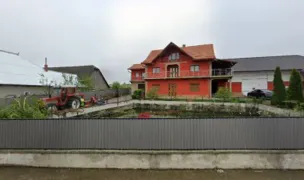 De Tomescu Presa Canario Kennel — Crescători Câini, Suceava