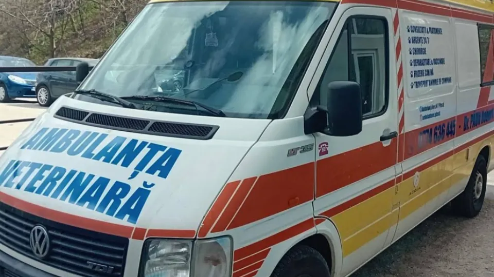 Ambulanța Vet 24/7 Pitești - Servicii veterinare la domiciliu - ambulantavet.ro — fotografie de copertă
