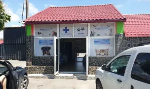 Dionis Vet Farm — Farmacii Veterinare, 1 Decembrie, Ilfov