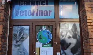 Doctor 4ped — Cabinete Veterinare, Craiova, Dolj