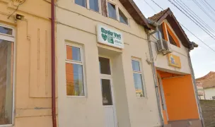 DODO VET — Veterinary Practices, Timișoara