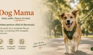 Dog Mama — In-Home Pet Sitting, Bucharest