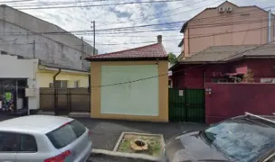 Dog SPA by Ivy — Dog & Cat Salon, Constanta