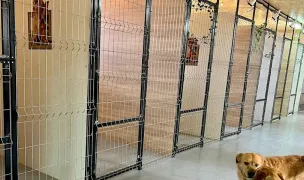 DogStar Pet Hotel — Hoteluri pentru Animale, Cluj