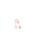 Logo Vet Consult