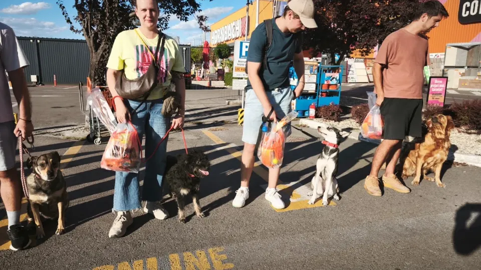 KNES Oradea - Centru de Dresaj și Reabilitare Canină — fotografie de copertă