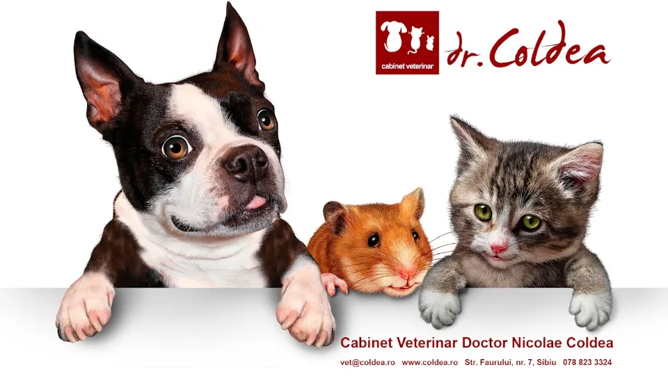 Cabinet Veterinary Doctor Nicolae Coldea — fotografie de copertă