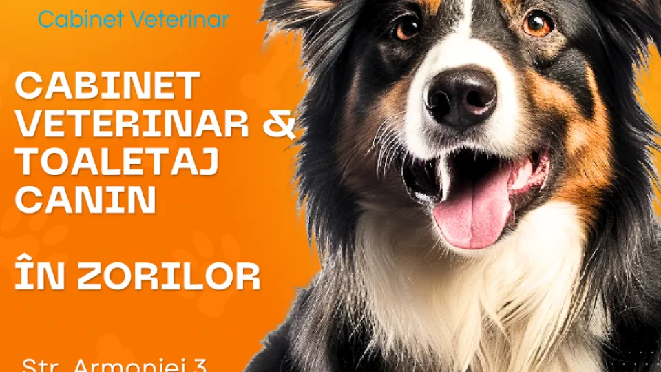 Vetricare - Cabinet Veterinar — fotografie de copertă