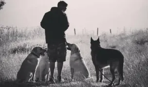 Educație Canina SRL - Dresaj Canin — Animal Training, Cluj