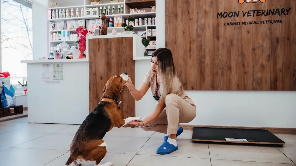 Moon Veterinary — fotografie de copertă