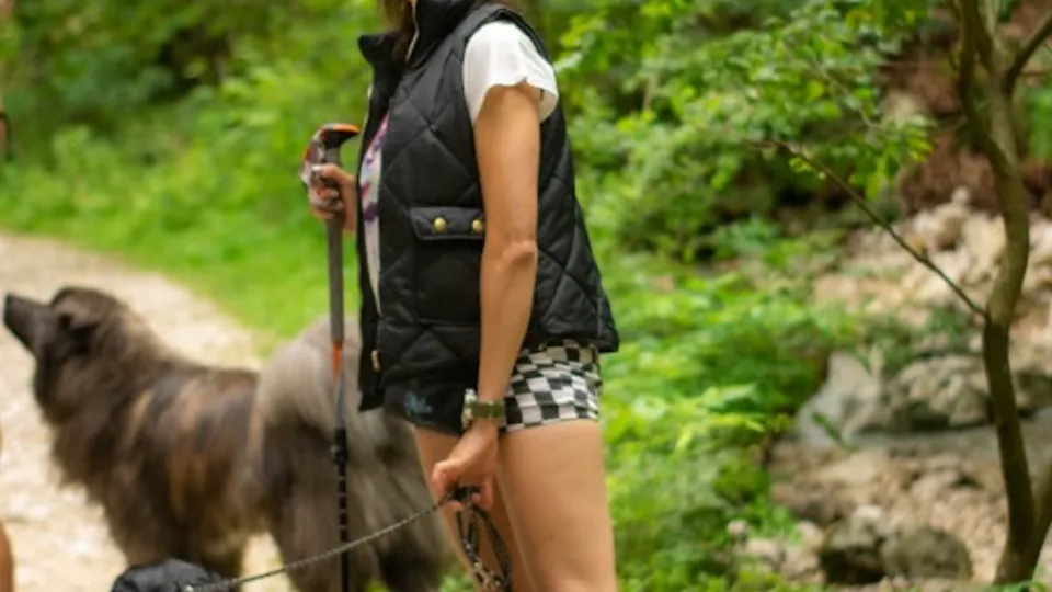 Yoolia - Dog Behaviorist — fotografie de copertă