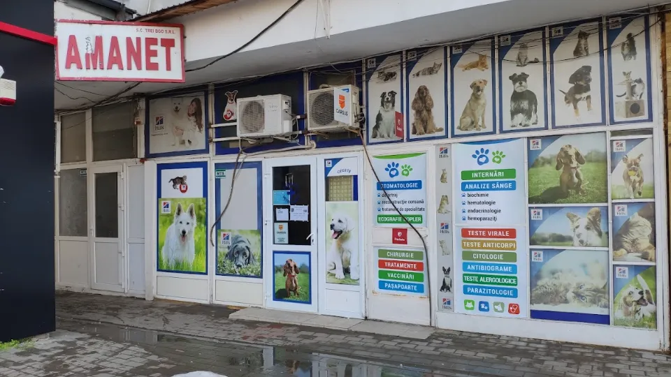 Cabinet veterinar Katyvet & Co — fotografie de copertă