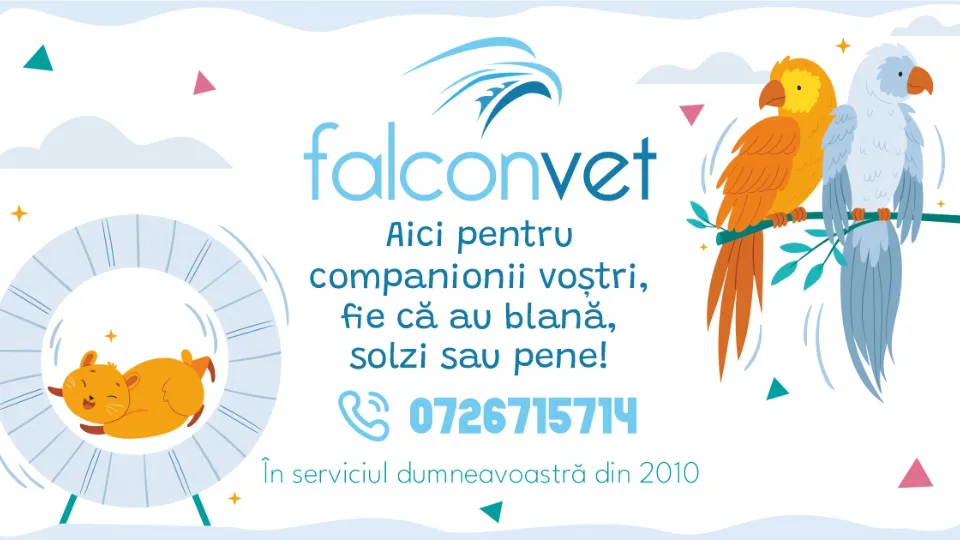 Falcon Vet — fotografie de copertă