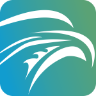 Logo Falcon Vet