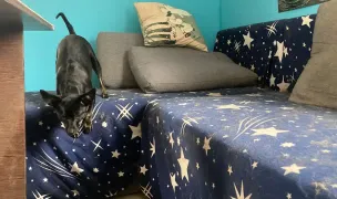 FamilyVet 24 — Cabinete Veterinare, Baciu, Cluj