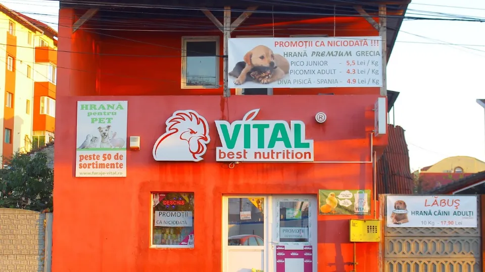 VITAL best nutrition Timisoara — fotografie de copertă