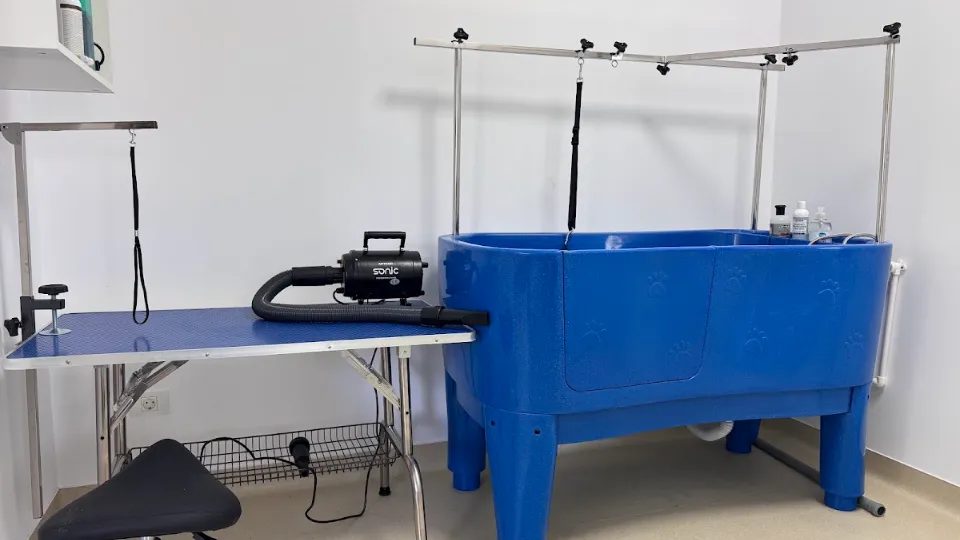 LARAVET - Cabinet Veterinar — fotografie de copertă