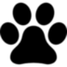 Logo Feline Focus