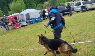 FlantoKris Kennel — Animal Training, Timișoara