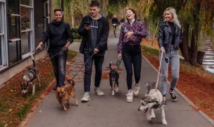 FRIEND OF FRIENDS — In-Home Pet Sitting, Bucharest