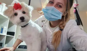 Frizerie Canina Happy Pet - Pitesti — Pet Grooming, Pitești
