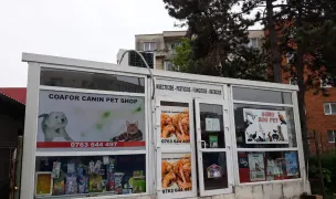 Frizerie Canina Pitesti, Salon Cosmetica Canina,Felina. Tuns Caini Pitesti — Pet Grooming, Pitești