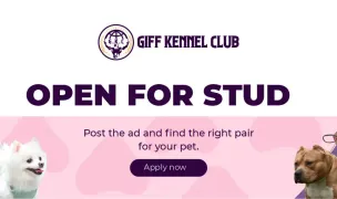 Giff Kennel — Animal Shelters, Timișoara