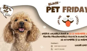 HAM HAM Cocket — Dog & Cat Salon, Timișoara