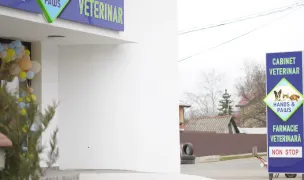 Hands and Paws Vet — Cabinete Veterinare, Ciorogârla, Ilfov