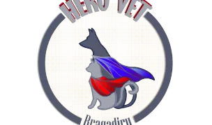 Hero Vet - Cabinet Veterinar Bragadiru — Chirurgie Veterinară, Bragadiru, Ilfov