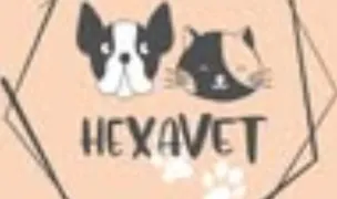 HEXAVET- Cabinet veterinar — Veterinary Surgery, Buftea, Ilfov