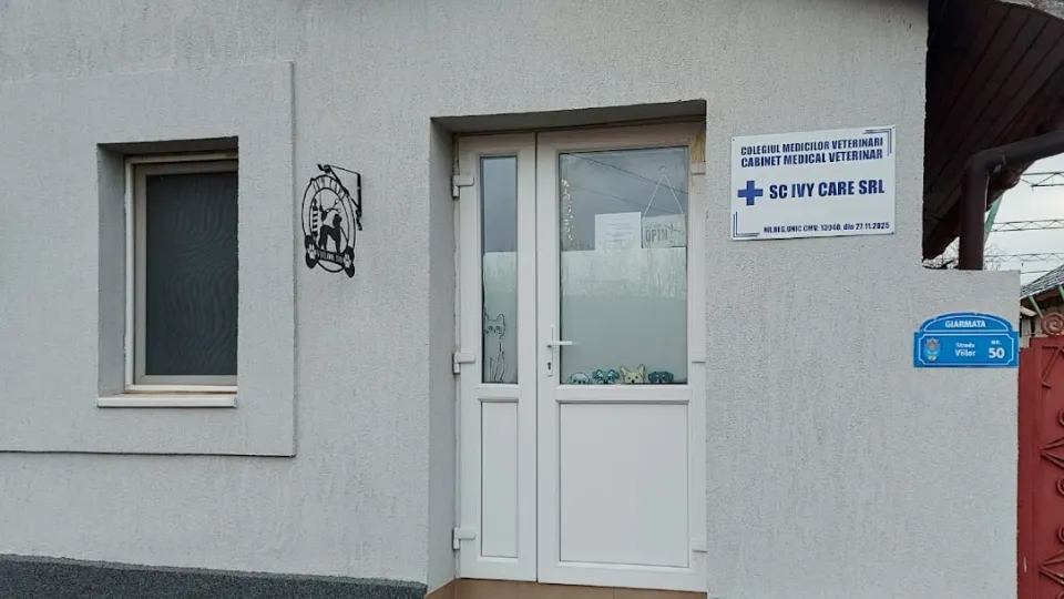 Ivy Care Cabinet veterinar & Frizerie canina — fotografie de copertă