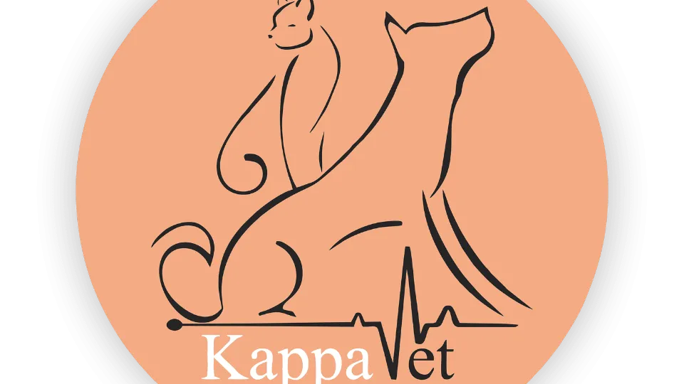 Kappavet — fotografie de copertă
