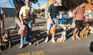 KNES Oradea - Centru de Dresaj și Reabilitare Canină — Dresaj Animale, Bihor