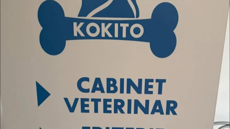 Kokito Cabinet Veterinar,Frizerie Canina/Felina&Pet Shop — fotografie de copertă