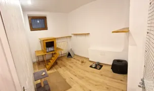 Kumbacat Hotel — Pet Hotels, Sector 2, Bucharest